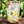 Load image into Gallery viewer, SOLAR DRIED BANANA REGENERATIVE ORGANIC CERTIFIED® 6 oz - 6 pack (10% discount)