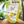 Load image into Gallery viewer, SOLAR DRIED PINEAPPLE REGENERATIVE ORGANIC CERTIFIED® 6 oz - 6 pack (10% discount)