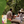 Load image into Gallery viewer, TROPICAL DRIED FRUIT MIX WITH REGENERATIVE ORGANIC CERTIFIED® INGREDIENTS 3 oz