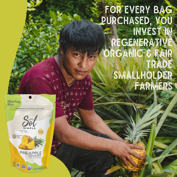 SOLAR DRIED PINEAPPLE REGENERATIVE ORGANIC CERTIFIED® 3 oz