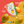 Load image into Gallery viewer, SOLAR DRIED MANGO REGENERATIVE ORGANIC CERTIFIED® 6 oz - 6 pack (10% discount)