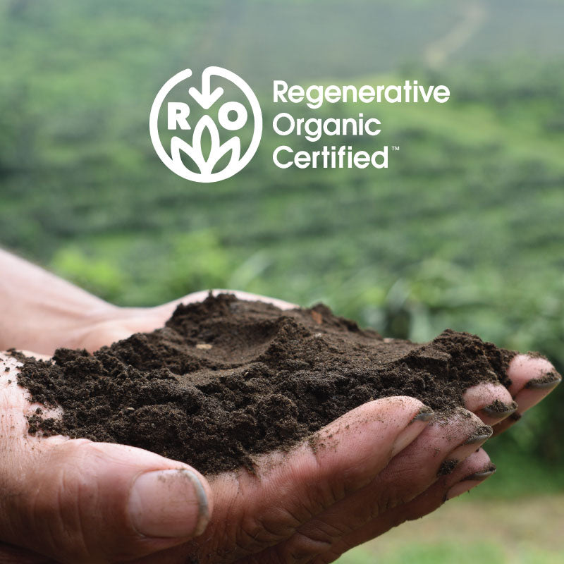 Sol Simple | Regenerative Organic | Dried Fruits – Sol Simple LLC