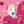 Load image into Gallery viewer, ORGANIC SOLAR DRIED DRAGON FRUIT (PITAHAYA)

