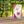 Load image into Gallery viewer, ORGANIC SOLAR DRIED DRAGON FRUIT (PITAHAYA)
